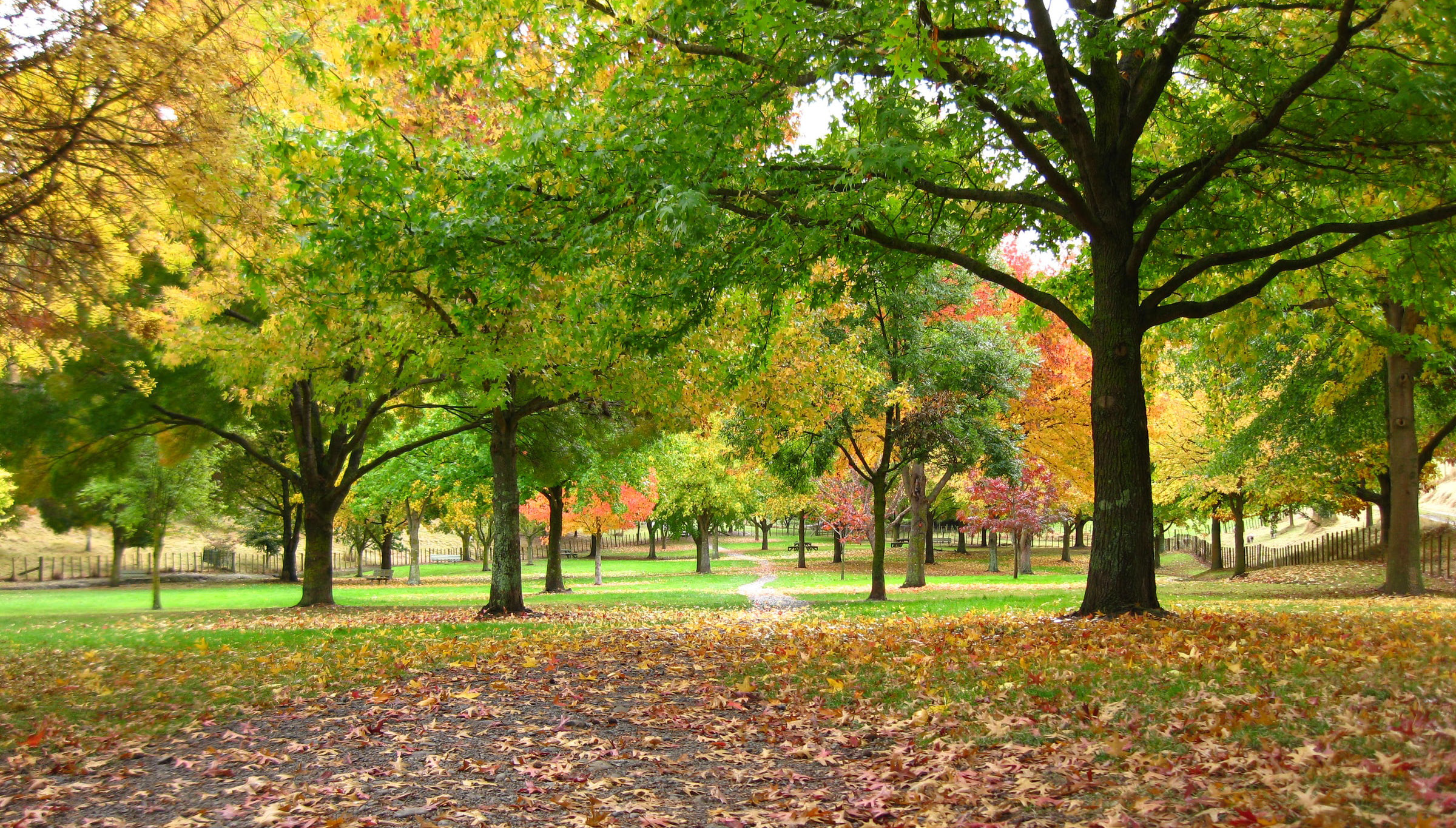 درس 7: صفات عالی (Superlatives)